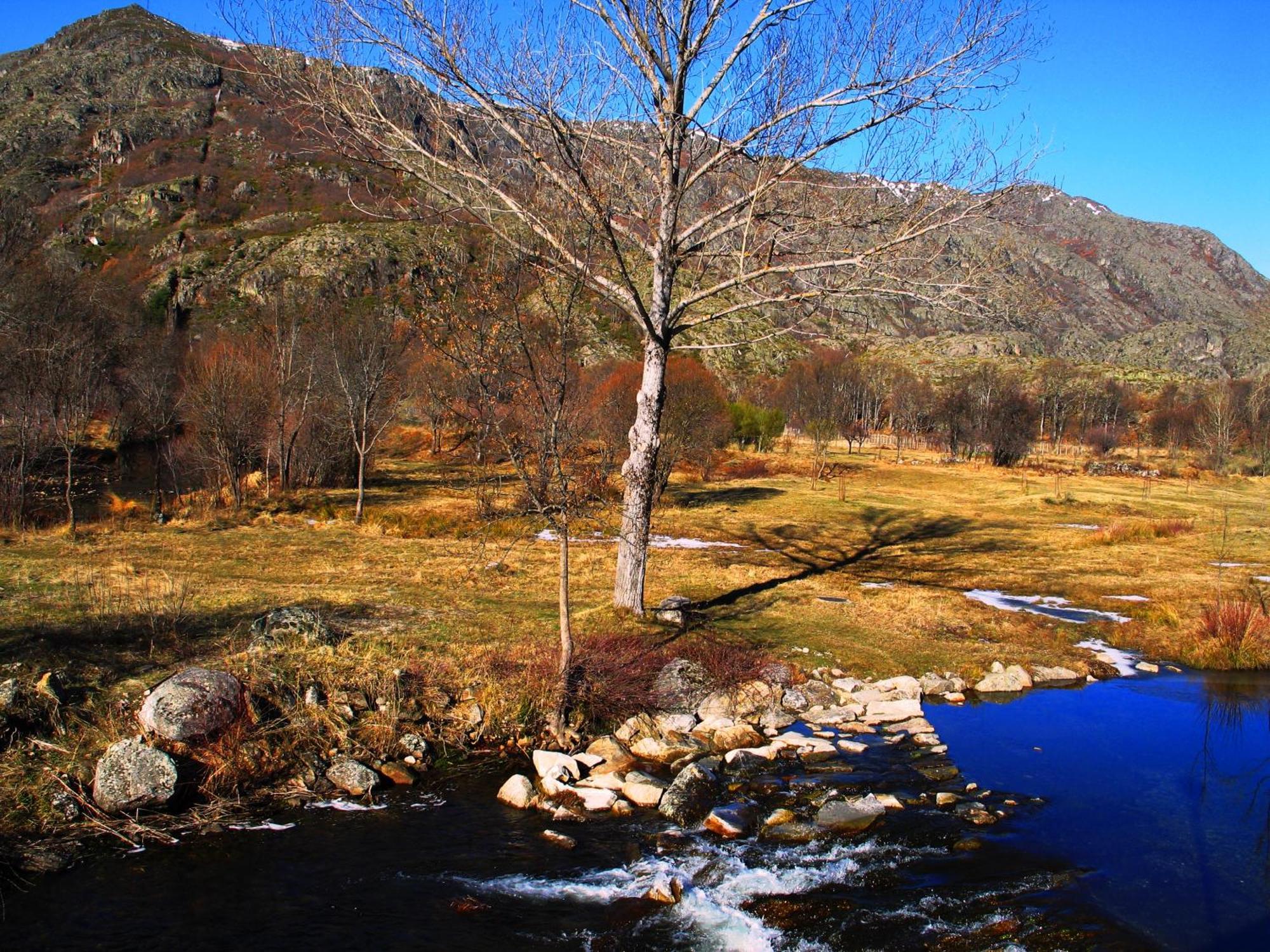 Hostal Martin - Sanabria Ribadelago 外观 照片